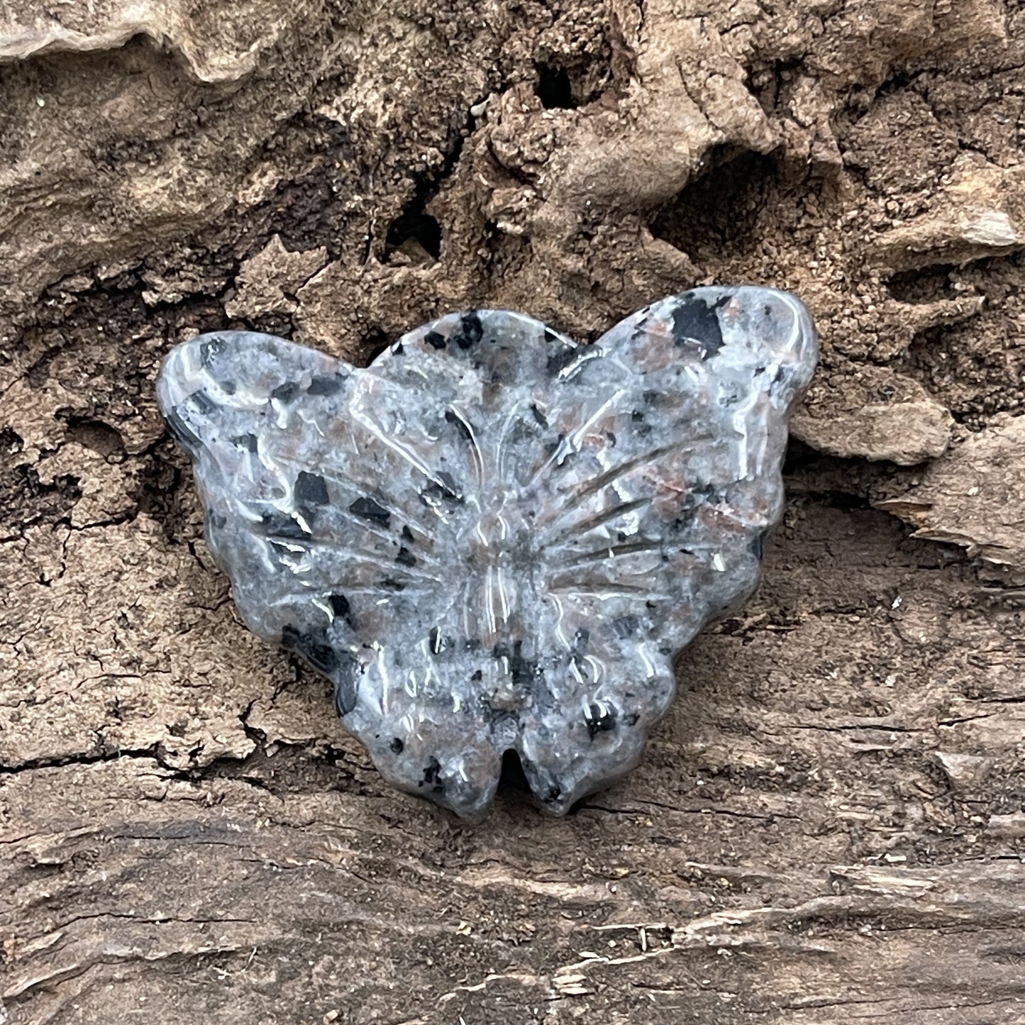 Yooperlite Butterfly