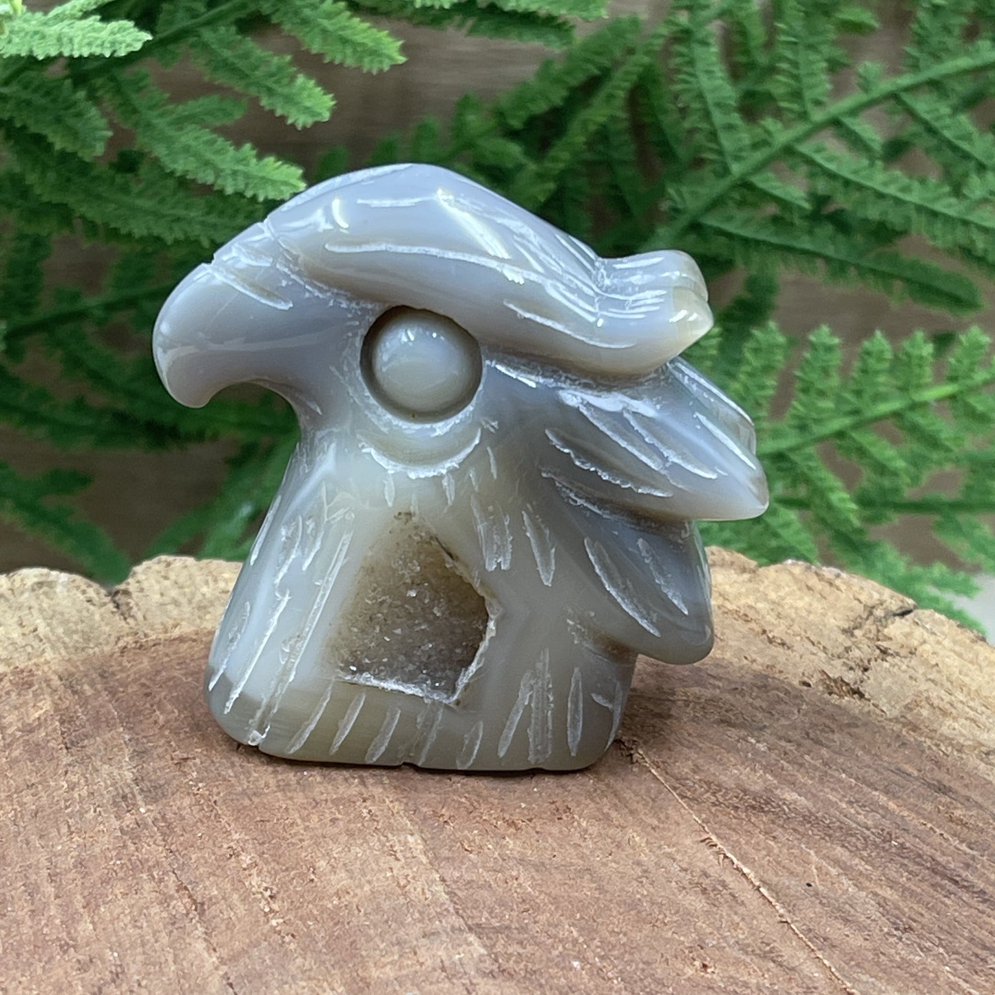 Natural Agate Eagle Head With Druzy