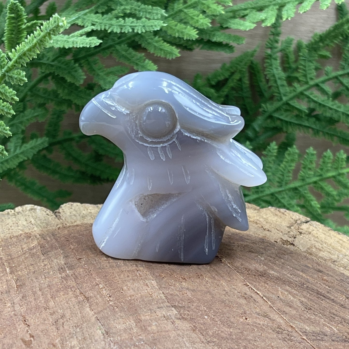 Natural Agate Eagle Head With Druzy