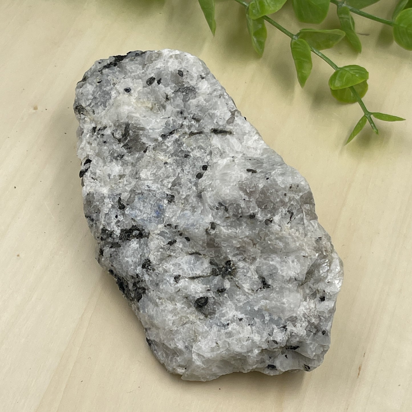 Raw Rainbow Moonstone