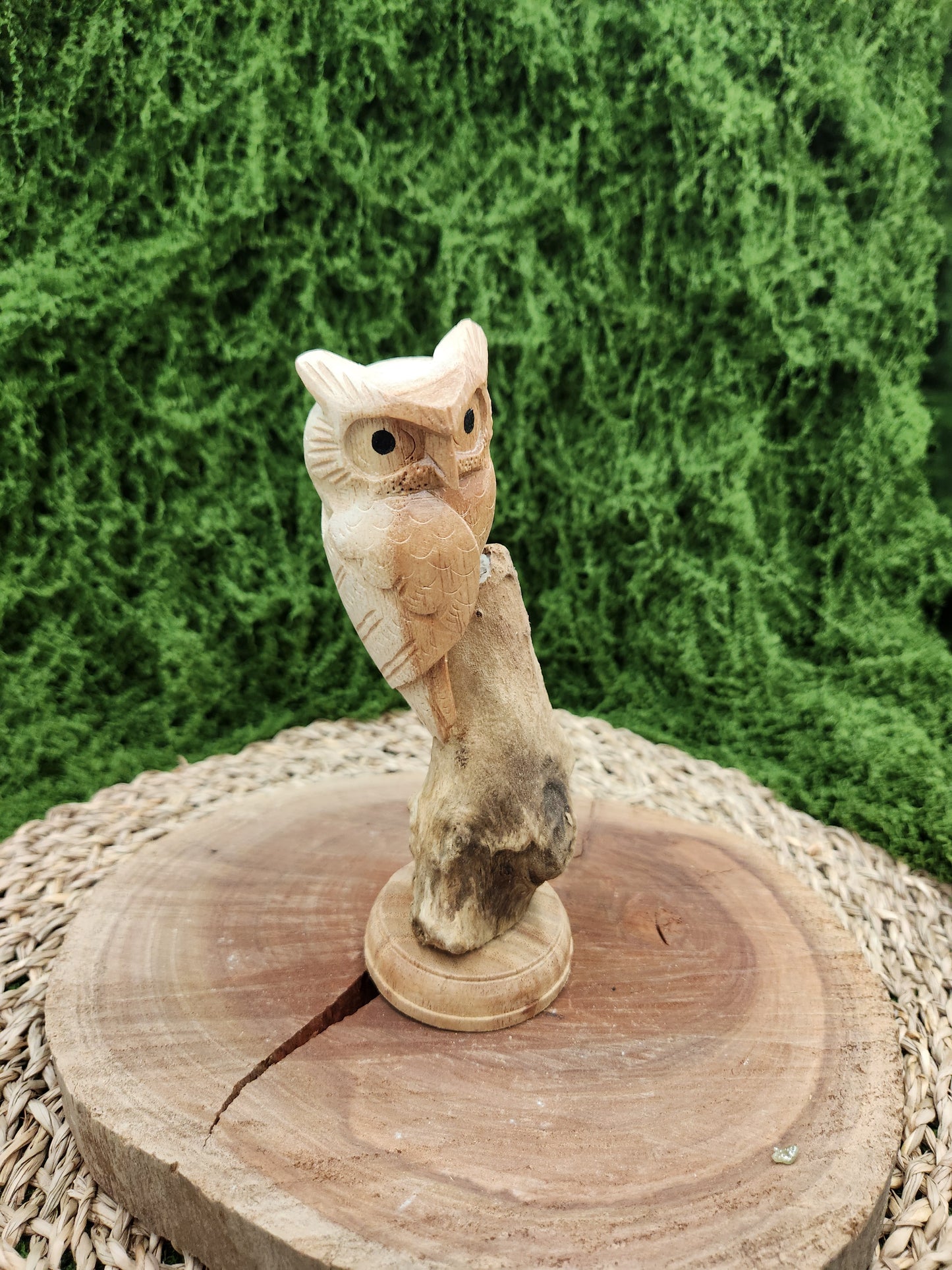 Craved Owl On Driftwood