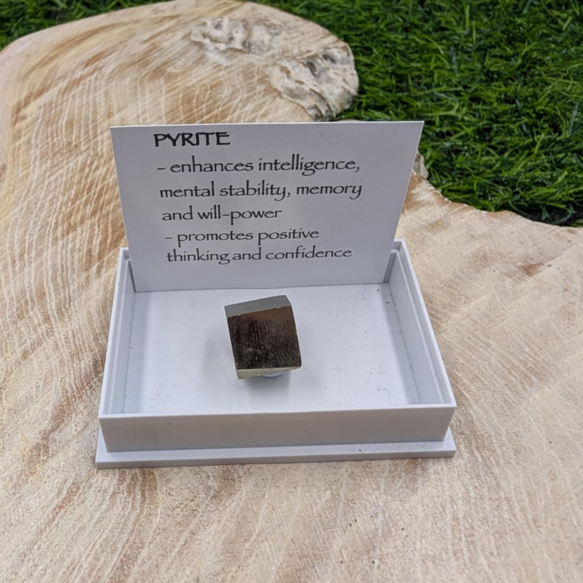Pyrite crystal in a box with descriptive card on a natural background
