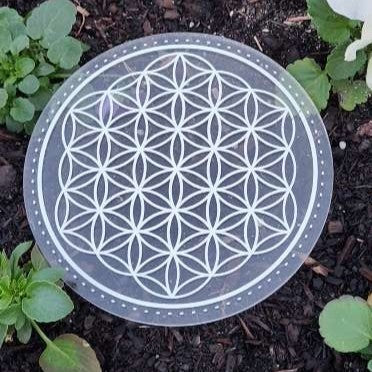 Seed Of Life Acrylic Grid