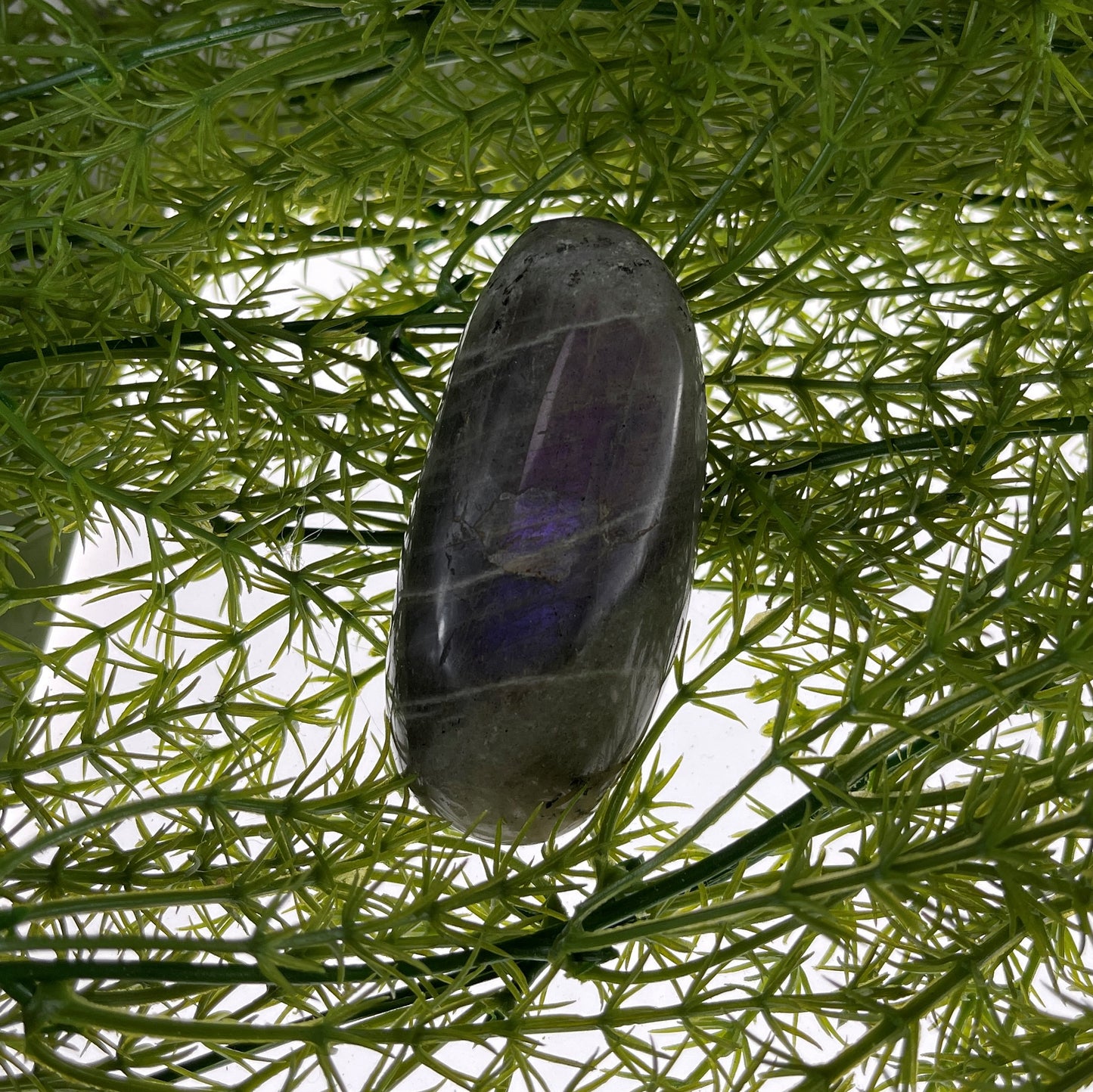 Labradorite Palmstone
