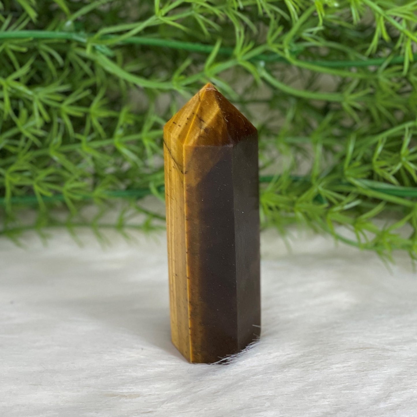 Tiger Eye Point