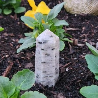 Quartz & Green Tourmaline Point