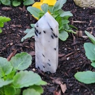 Quartz & Green Tourmaline Point