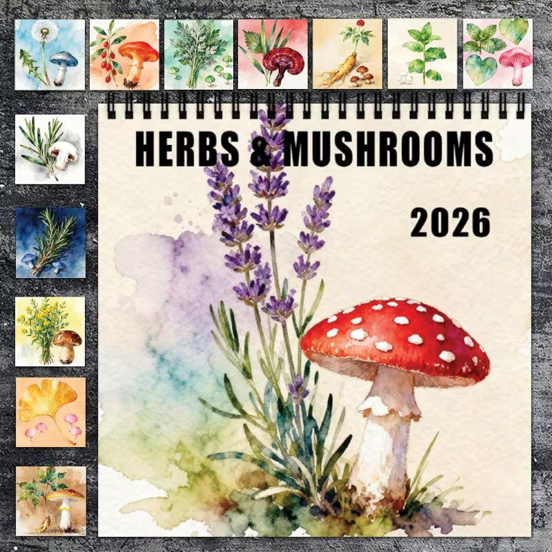 50% Off Assorted Calanders and Planners