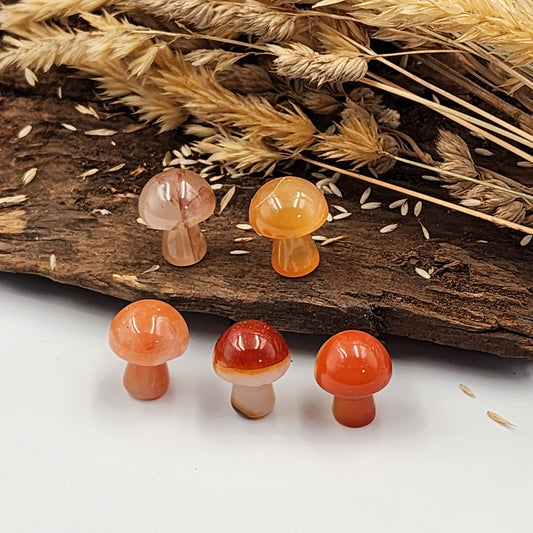 Carnelian Mini Mushrooms