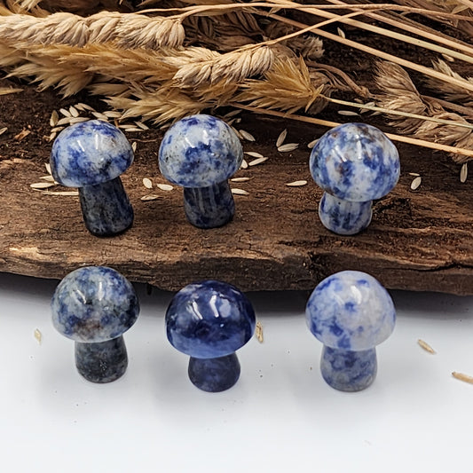 Sodalite Mini Mushrooms