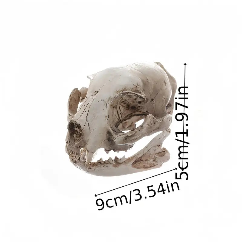 Cat Skull