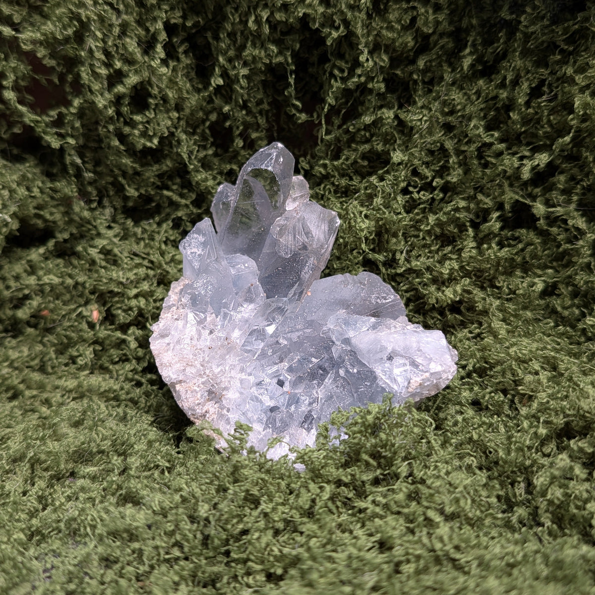 Celestite Geode