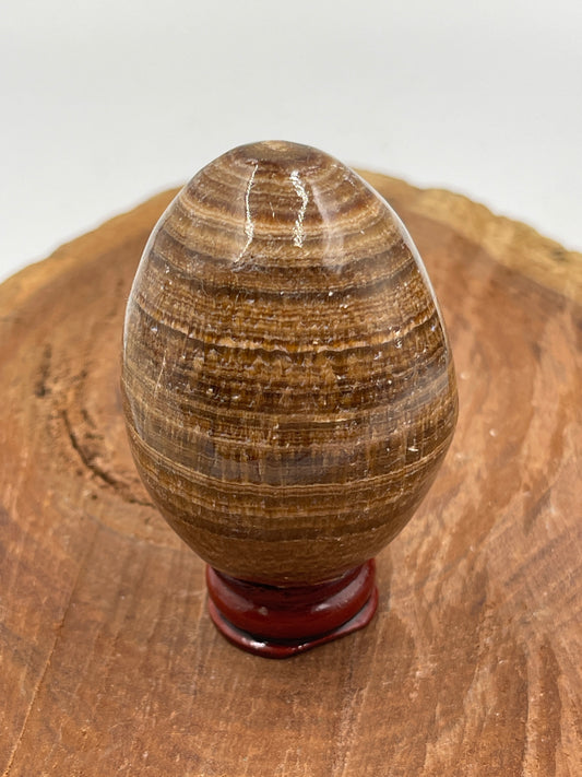 Banded Aragonite Egg