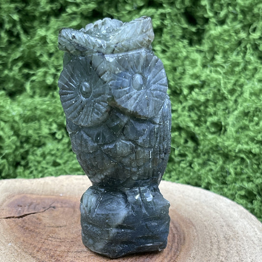 Labradorite Owl