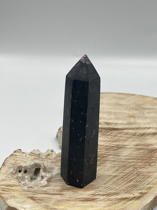 Shungite Point