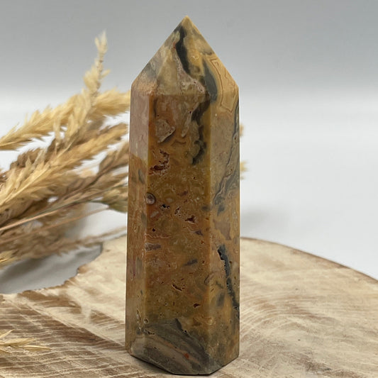 Crazy Lace Agate Point