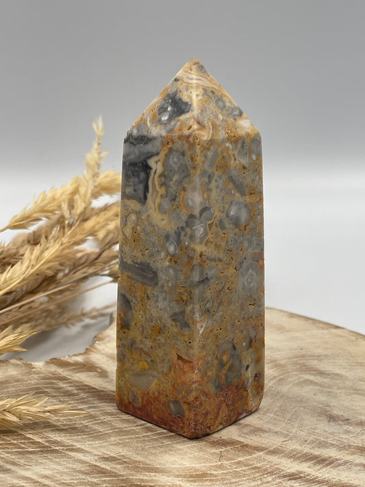 Crazy Lace Agate Point
