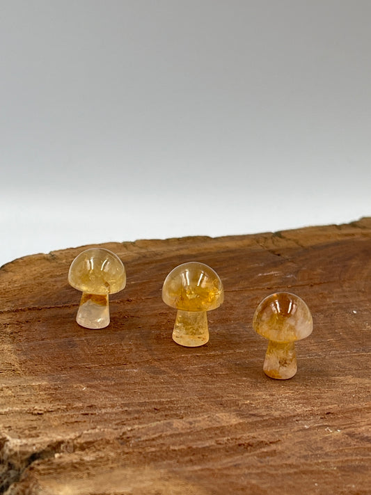 Mini Citrine Mushrooms