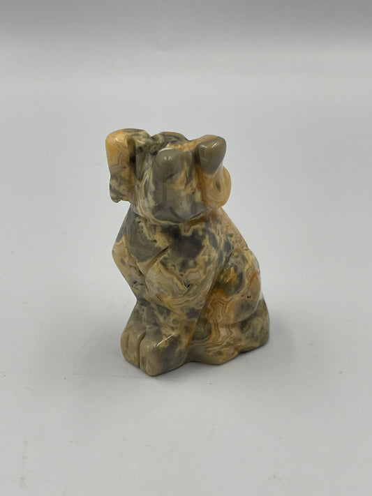 Crazy Lace Agate Dog