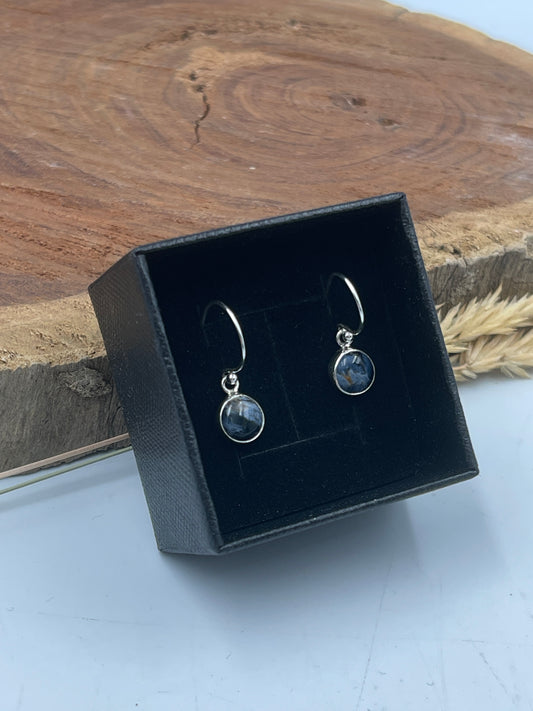 Pietersite  Sterling Silver Earrings