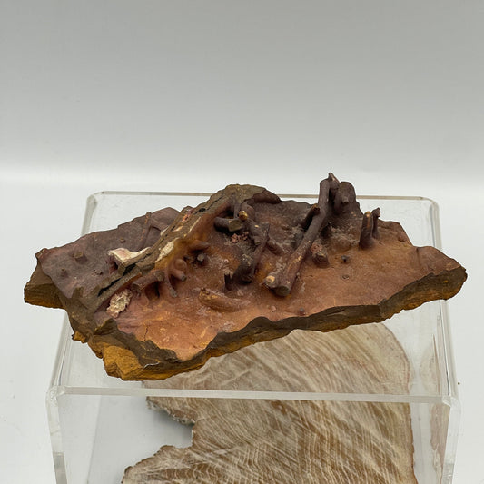 Hematite (worm Tube)