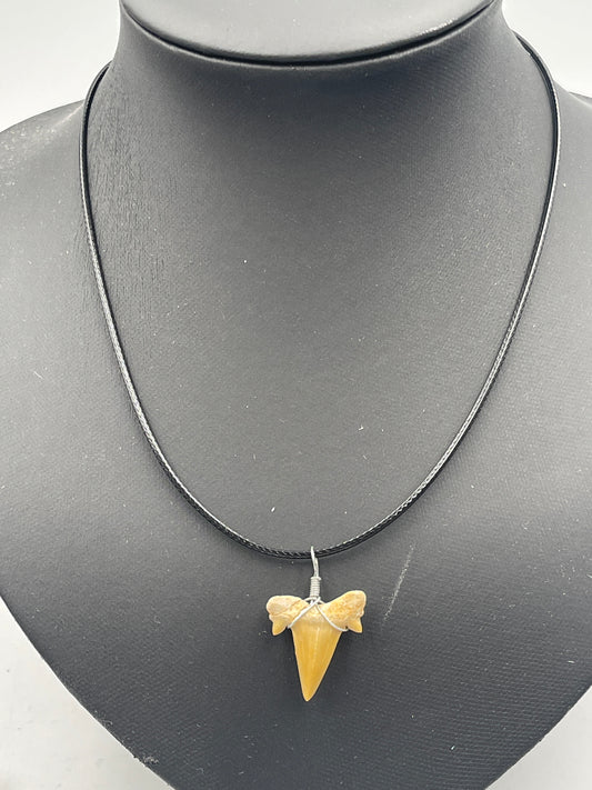 Shark Tooth Necklace