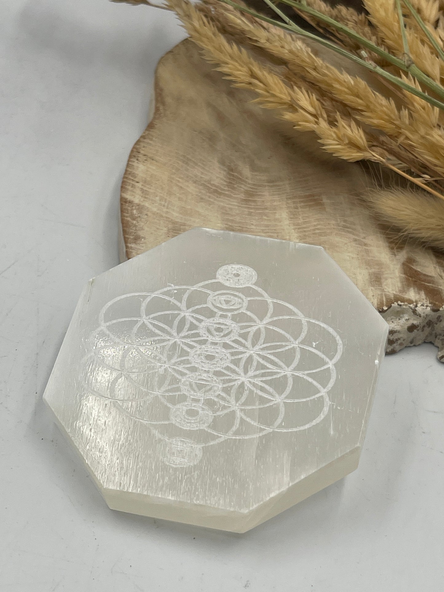 Chakra Selenite Cleansing Plate