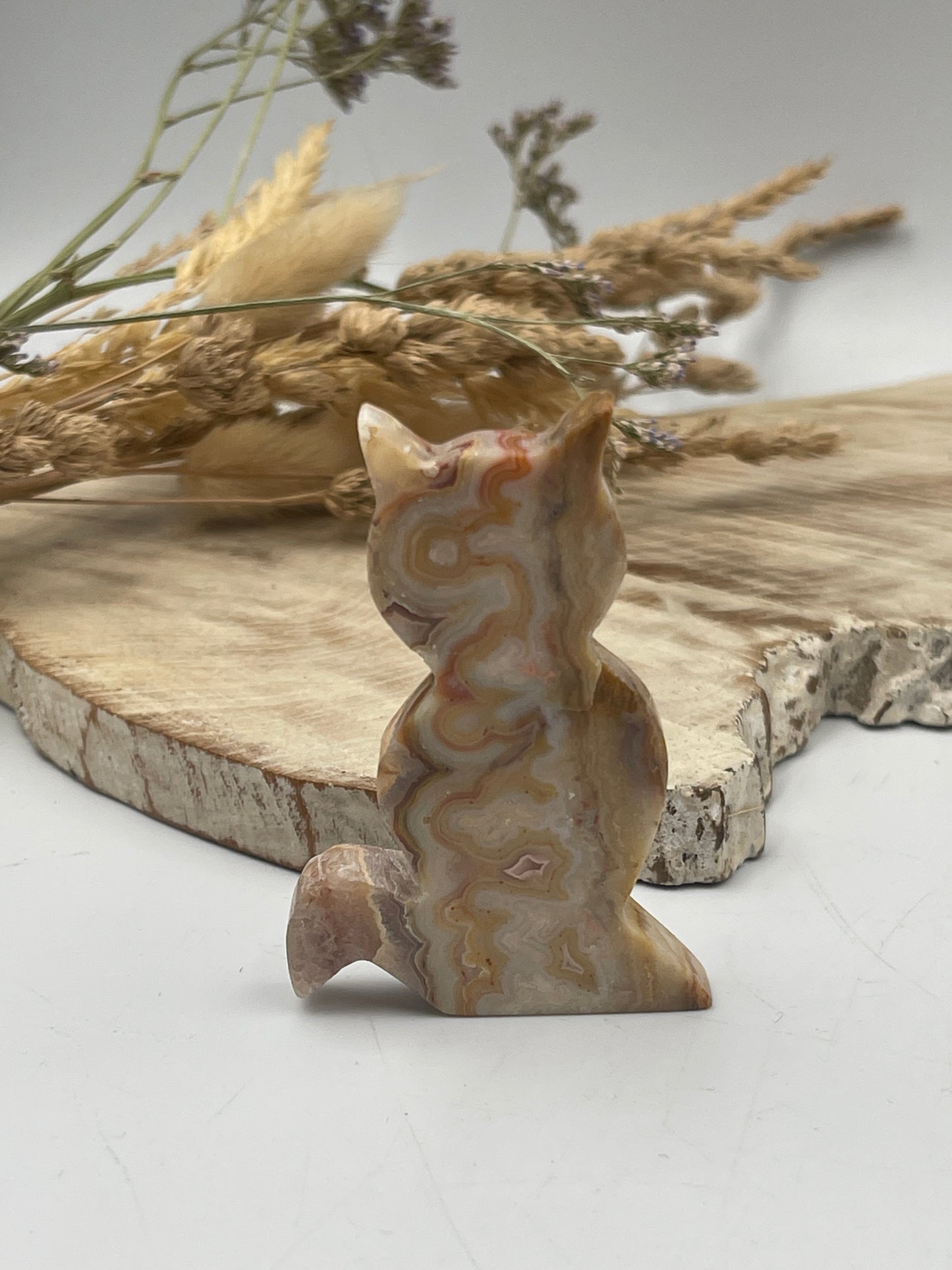 Crazy Lace Agate Cat Carving