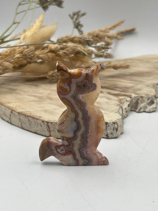 Crazy Lace Agate Cat Carving
