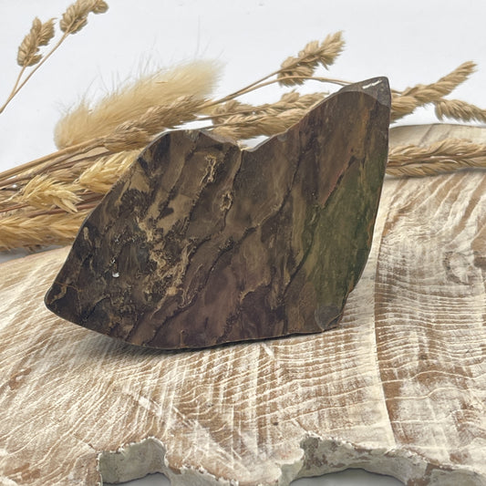 Petrified Wood