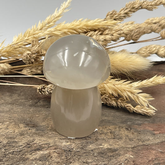 Natural Agate Mushroom