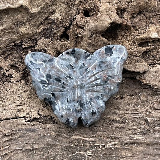 Yooperlite Butterfly