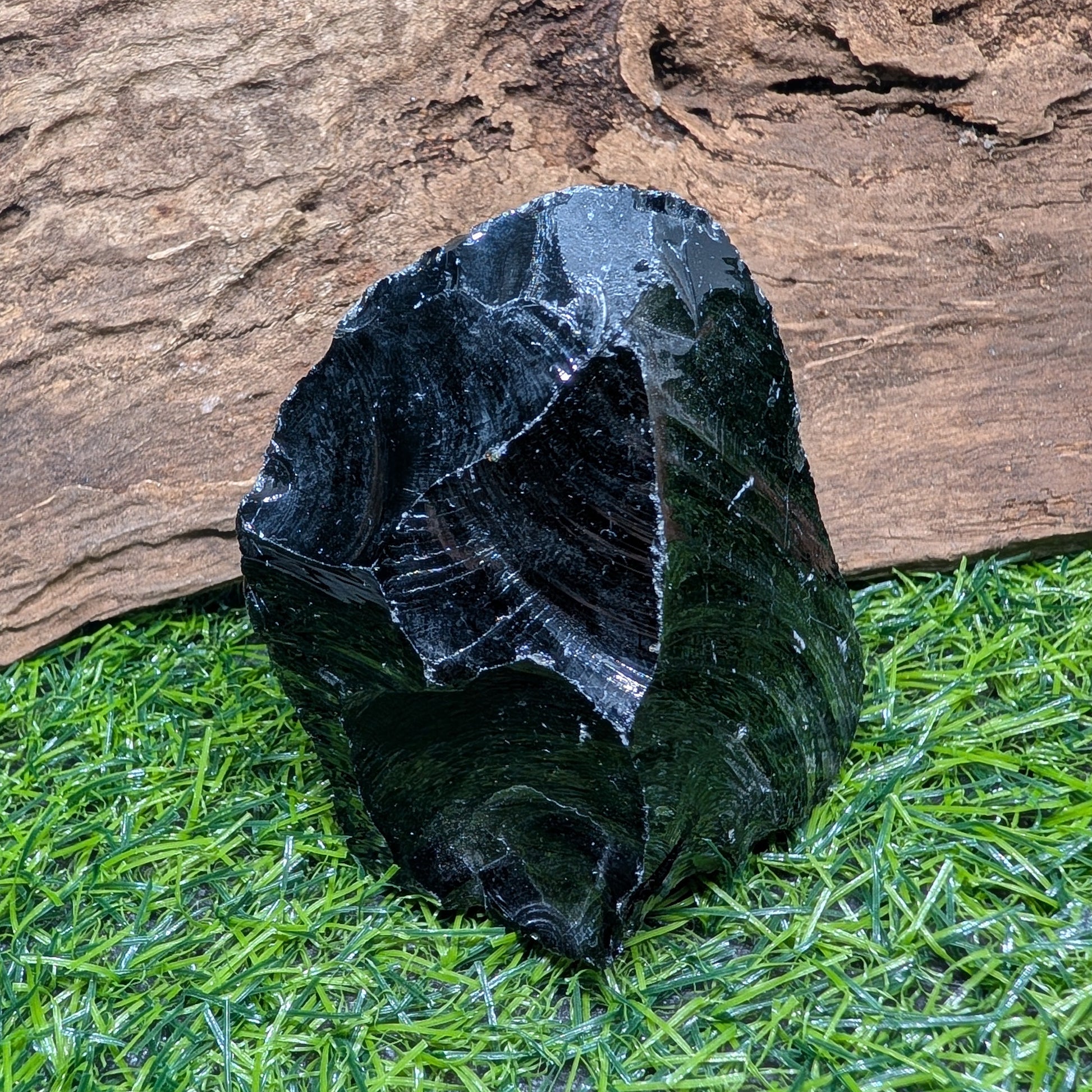 Black stone on grass with a wooden log in the background