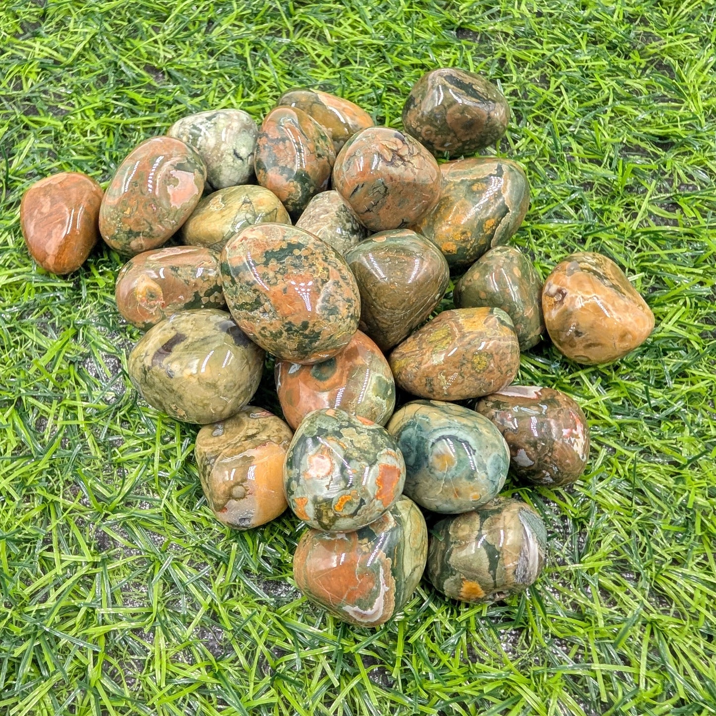 Rainforest Jasper [Rhyolite]