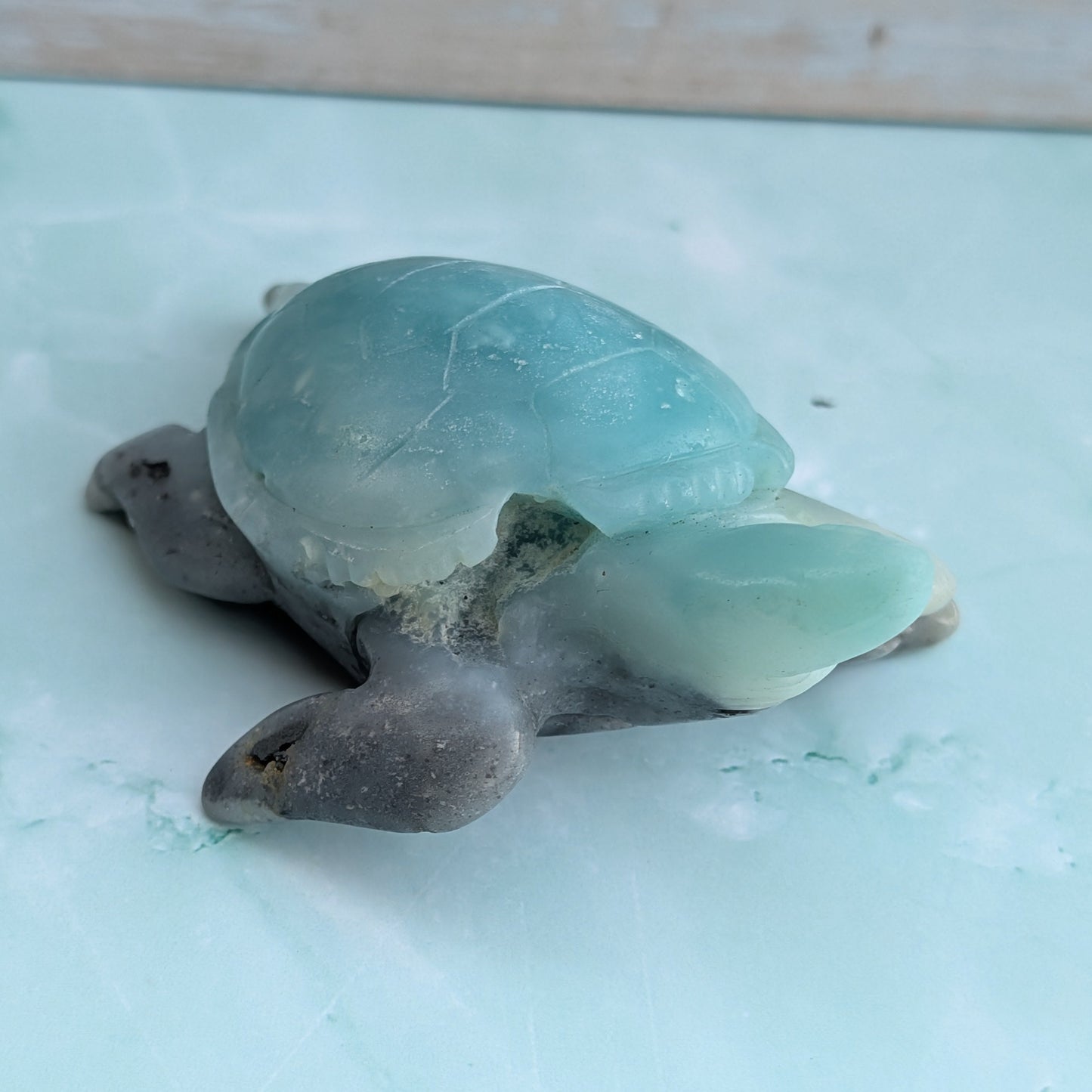 Caribbean Calcite Turtle