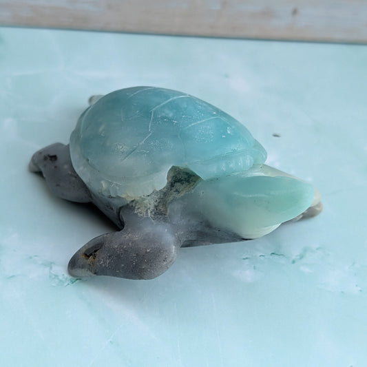 Caribbean Calcite Turtle
