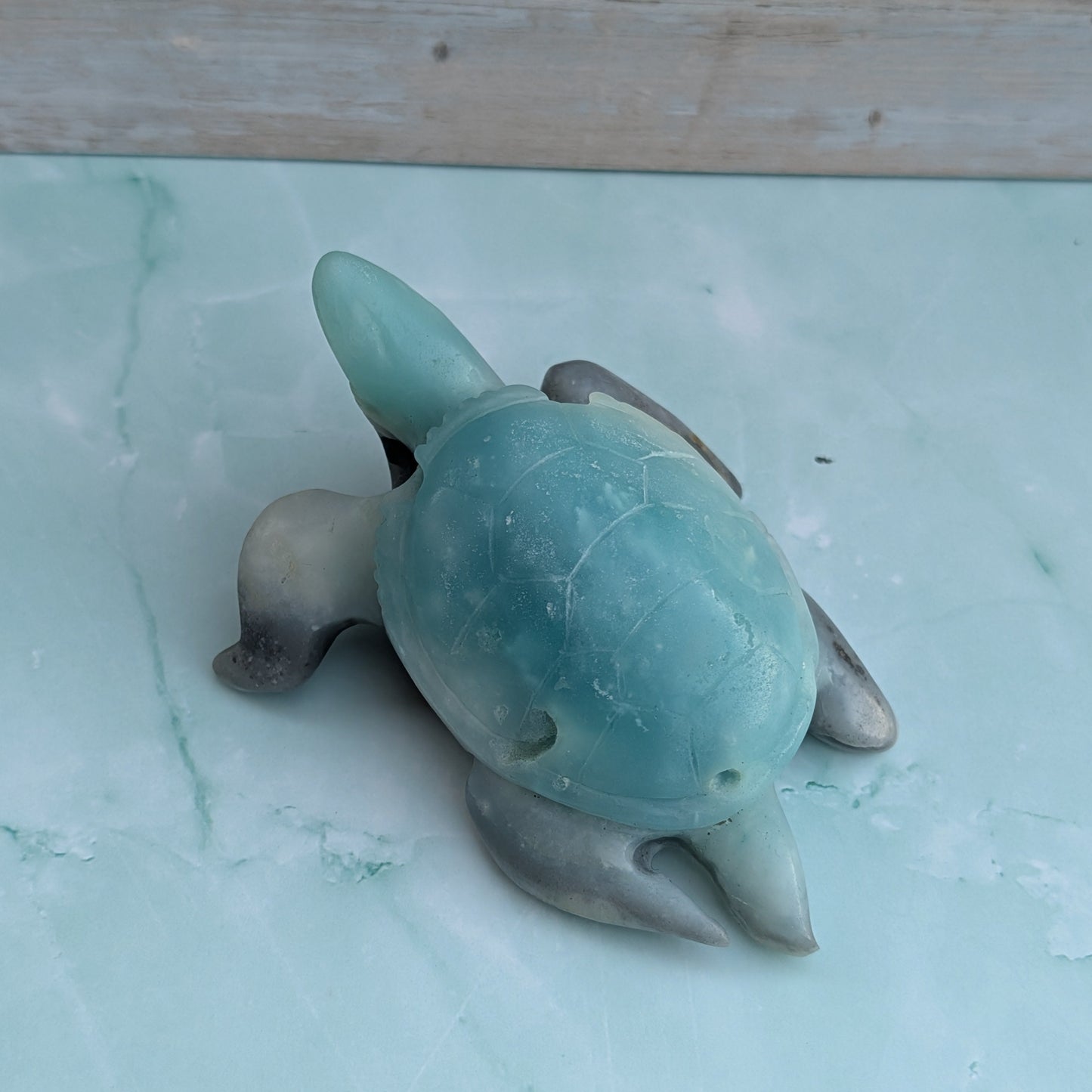 Caribbean Calcite Turtle