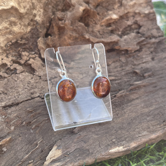 Amber Sterling Silver Earrings