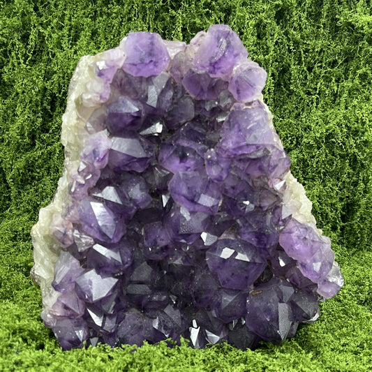 Amethyst Cluster