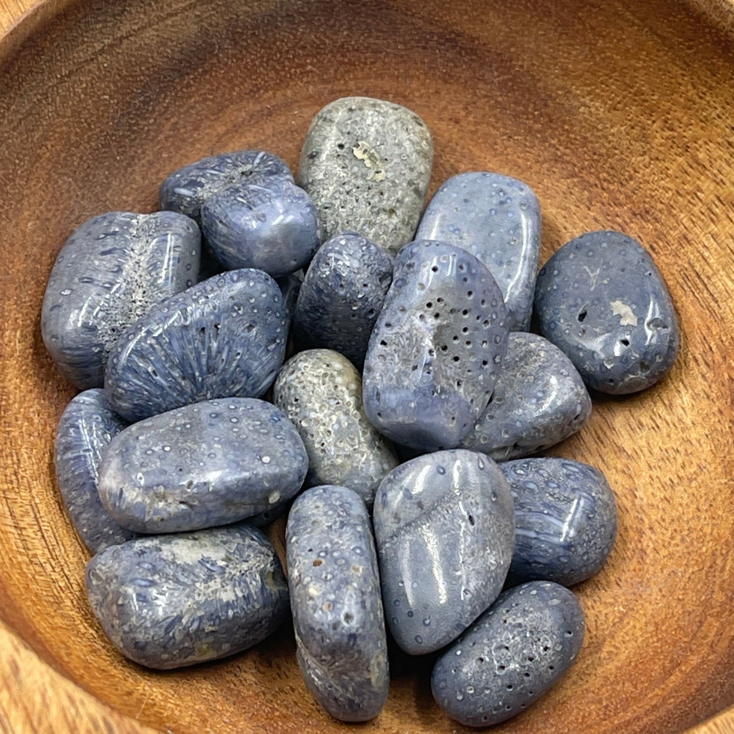 Blue Coral Tumbled