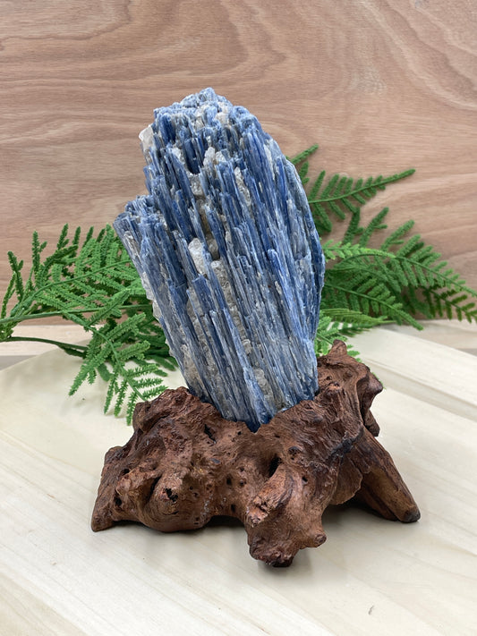 Raw Kyanite On Drift Wood