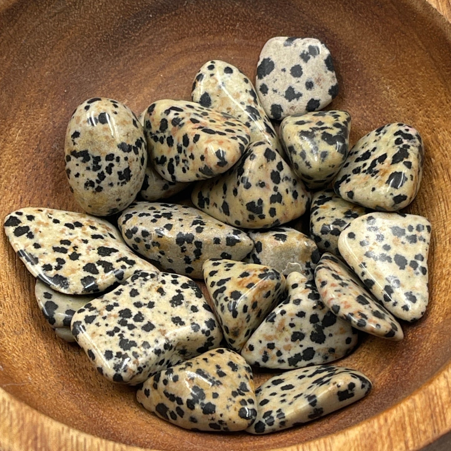 Dalmation Jasper Tumbled