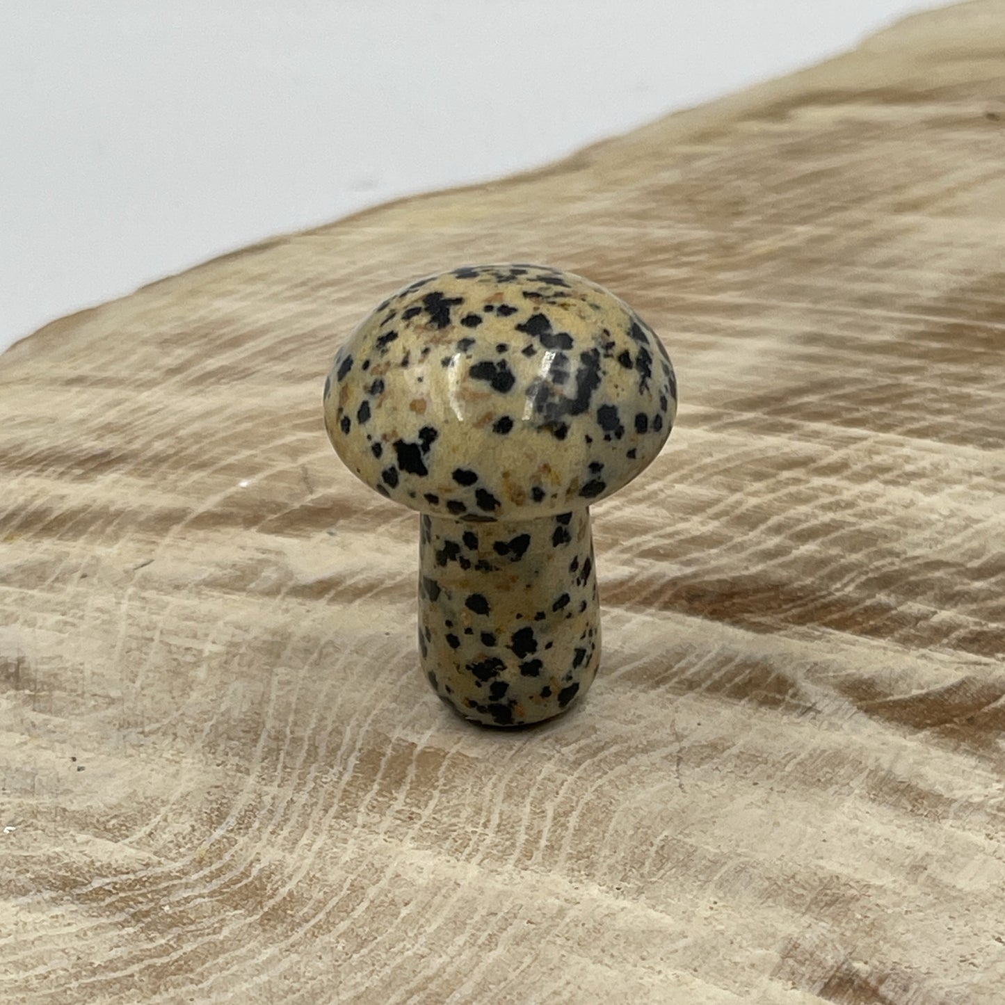 Dalmation Jasper Mushroom