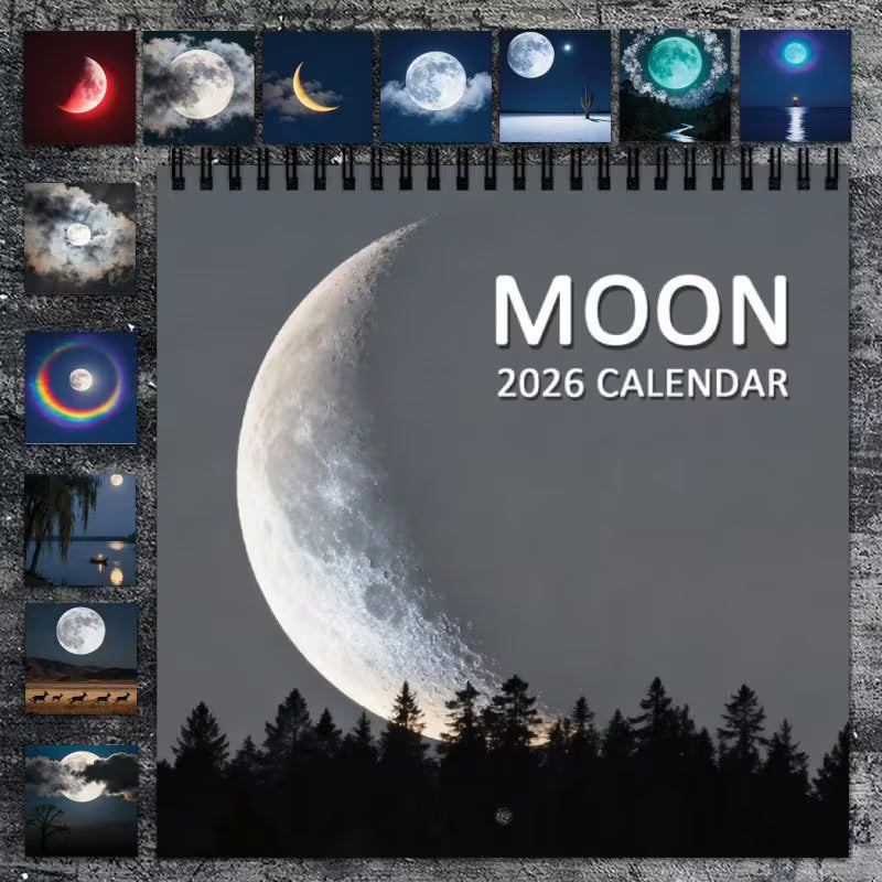 50% Off Assorted Calanders and Planners