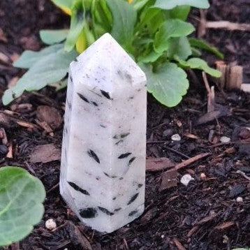 Quartz & Green Tourmaline Point