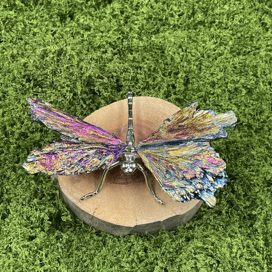Titanium Aura Kyanite Butterfly