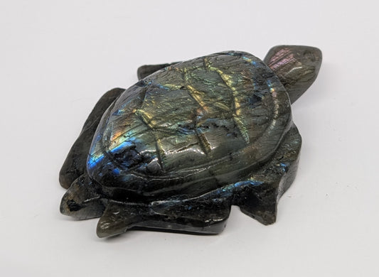 Tortoise-shaped stone with labradorite patterns on a white background