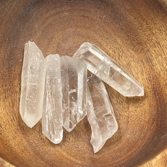 Lemurian Seed Quartz