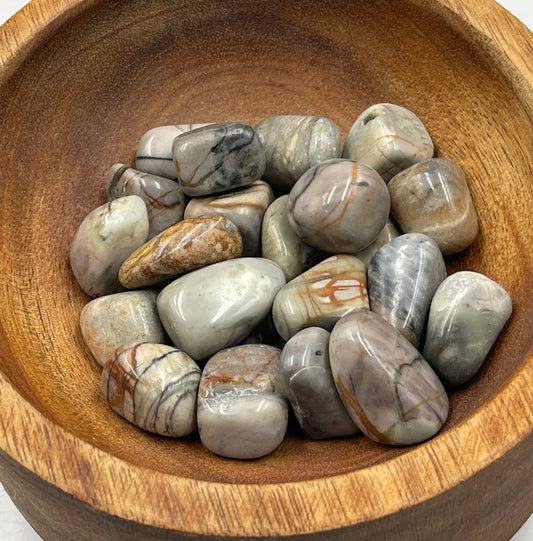 Picasso Jasper Tumbled
