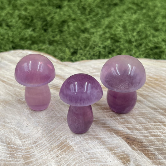 Purple Fluorite Mushrooms